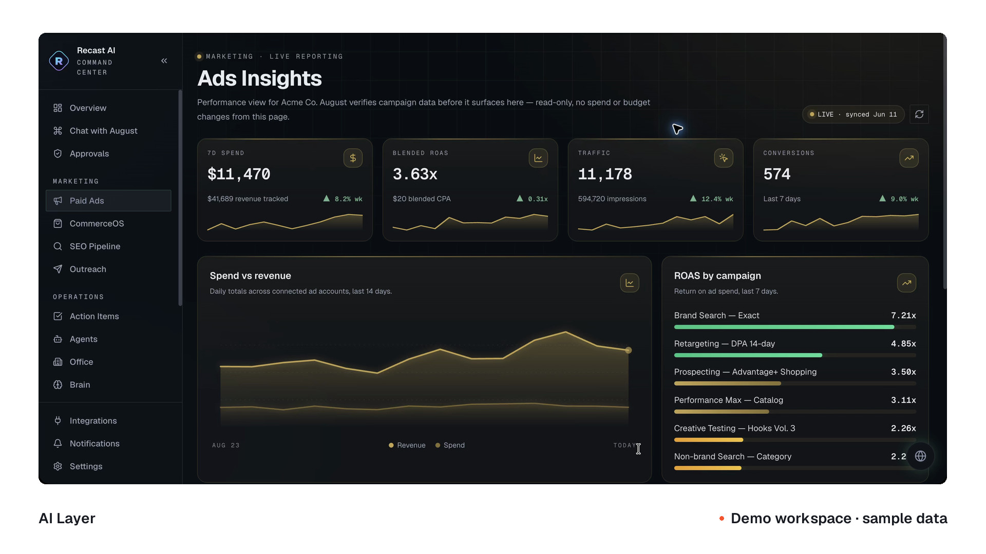 The Paid Ads interface with sample campaign data.